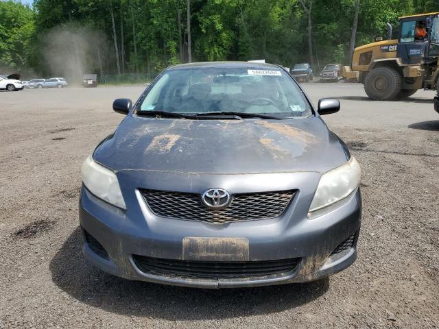 2010 Toyota Corolla Base VIN: 2T1BU4EEXAC404505 Lot: 56022684