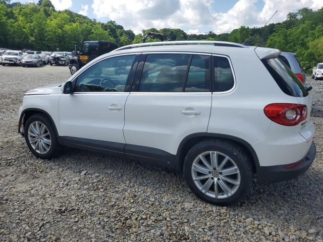 2009 Volkswagen Tiguan Se VIN: WVGBV95N49W544770 Lot: 57299574