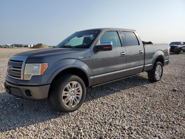 2009 Ford F150 Supercrew VIN: 1FTPW14V59FB05202 Lot: 57034854