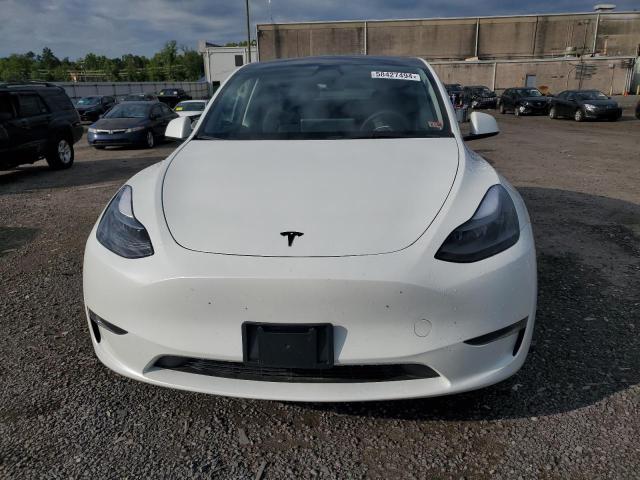 2023 TESLA MODEL Y - 7SAYGDEF4PF843412