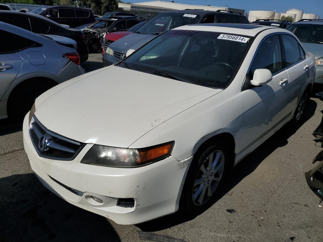 JH4CL96837C021177 2007 Acura Tsx