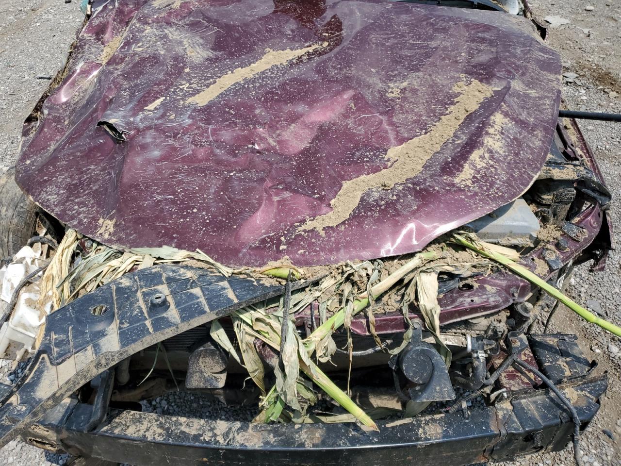 4T1BD1EB0GU050960 2016 Toyota Avalon Hybrid