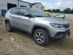 JEEP COMPASS TR снимка