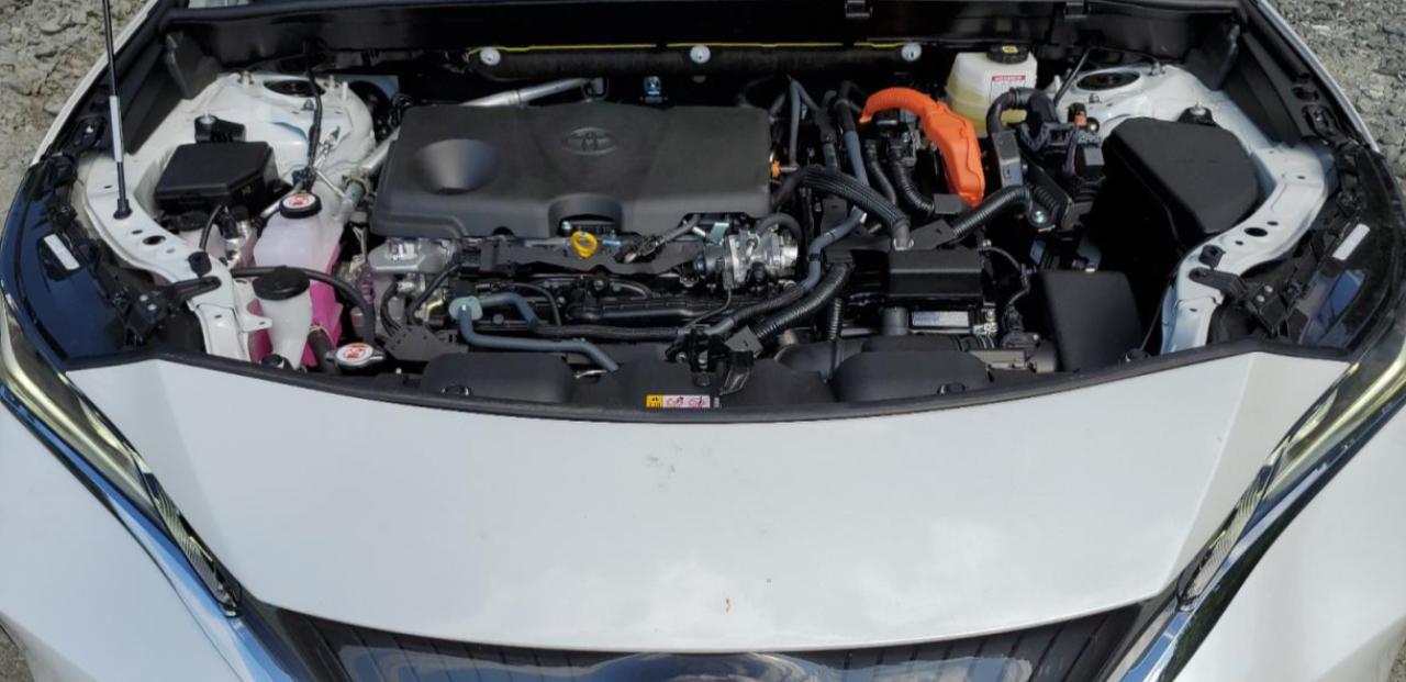 JTEAAAAH4RJ172997 2024 Toyota Venza Le