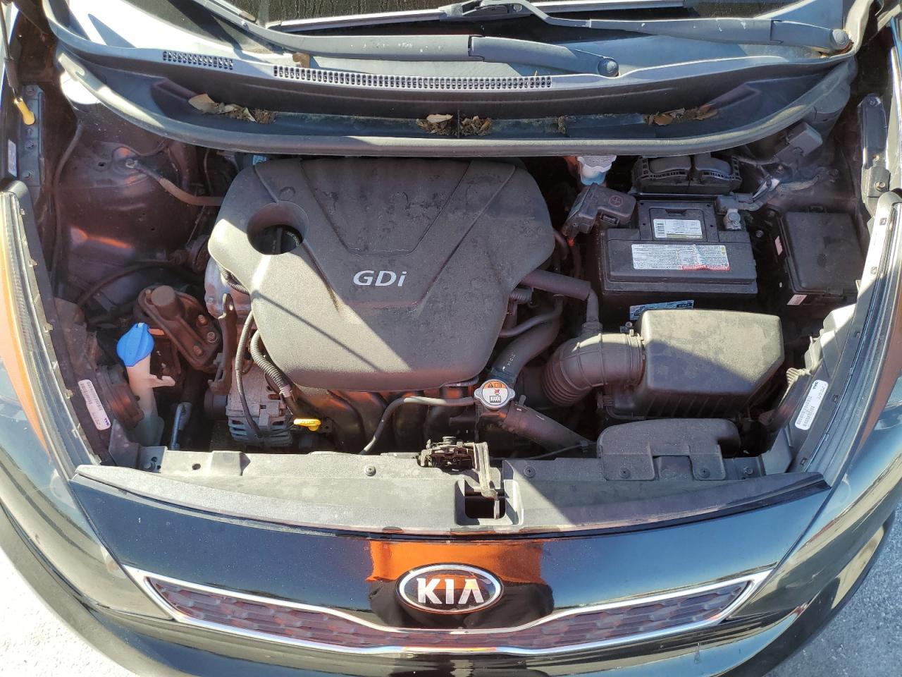 KNADN5A38D6230295 2013 Kia Rio Ex