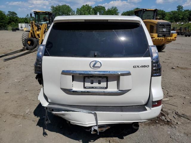 2019 Lexus Gx 460 VIN: JTJBM7FX2K5218843 Lot: 59131924