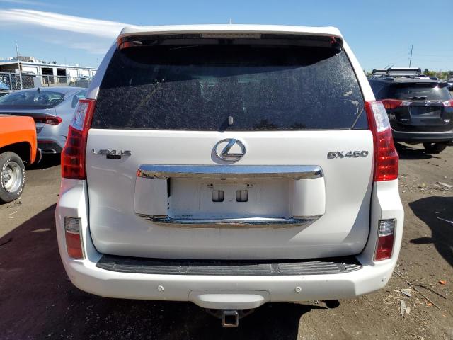 2010 Lexus Gx 460 Premium VIN: JTJJM7FX0A5010406 Lot: 59591984