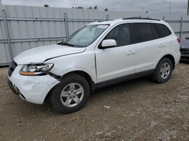 2009 Hyundai Santa Fe Gls VIN: 5NMSG13D99H256692 Lot: 58819464