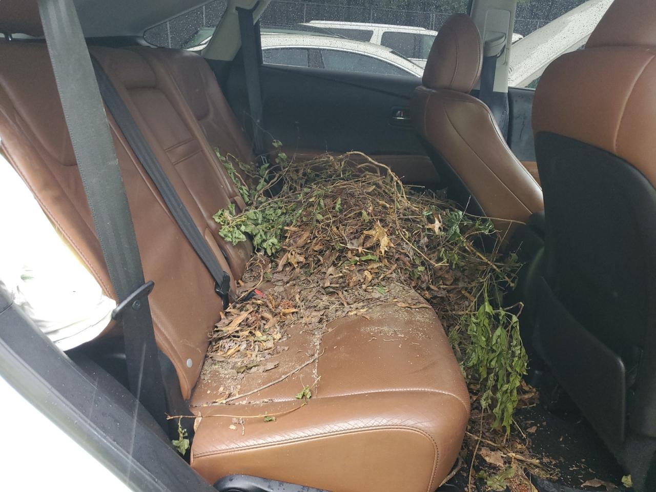 2T2BK1BA7FC285076 2015 Lexus Rx 350 Base