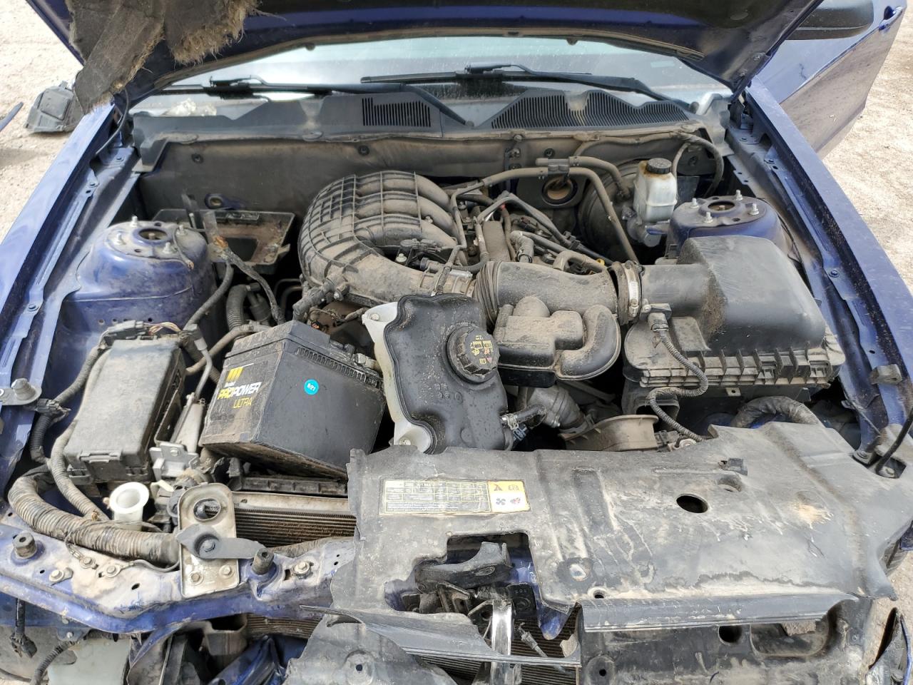 1ZVBP8AM8D5282642 2013 Ford Mustang