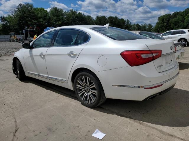 2014 Kia Cadenza Premium VIN: KNALN4D76E5132491 Lot: 58077984
