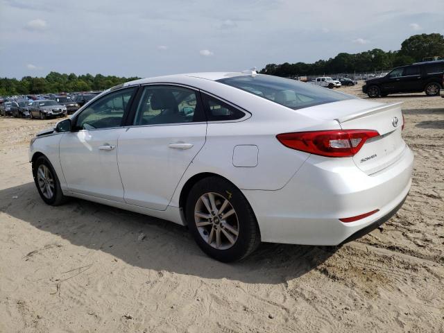 2017 Hyundai Sonata Se VIN: 5NPE24AF2HH491177 Lot: 57564834