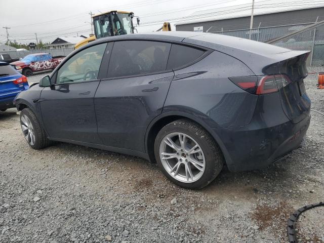 2024 TESLA MODEL Y - 7SAYGDED2RF016204