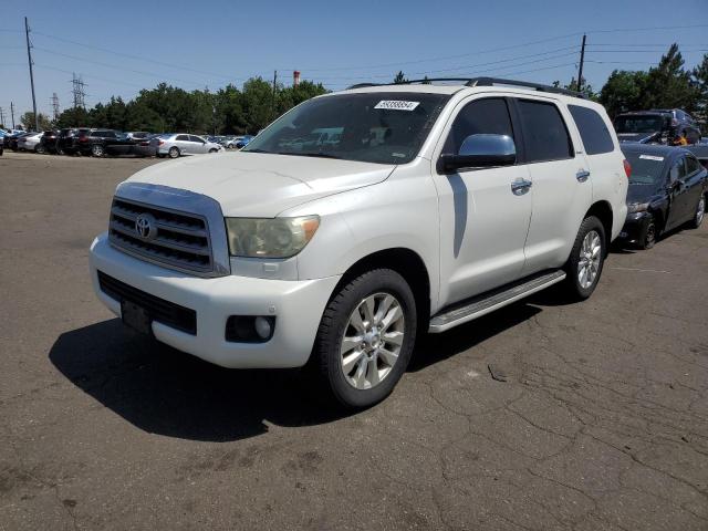 2010 Toyota Sequoia Platinum VIN: 5TDDW5G14AS030208 Lot: 59358854