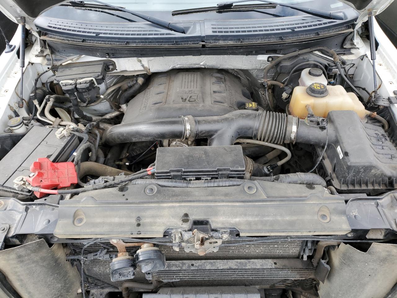 1FTFW1ET5CA48645 2012 Ford F150 Supercrew