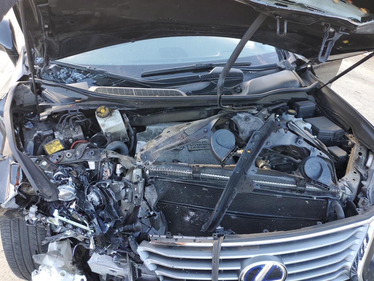 JTJBC1BA4E2069018 2014 Lexus Rx 450