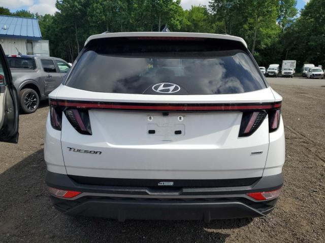 2023 Hyundai Tucson Sel VIN: 5NMJFCAE9PH253746 Lot: 58625564