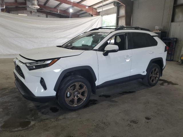 Toyota RAV4 WOODL