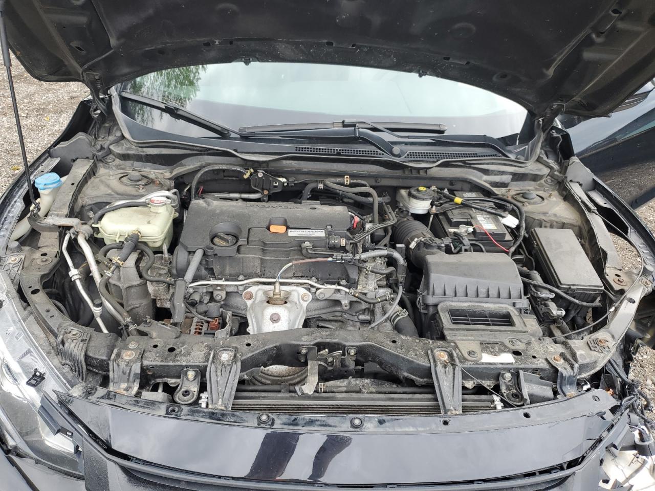 2HGFC4A50GH401204 2016 Honda Civic Lx 2HGFC4A50GH401204 2016 Honda Civic Lx