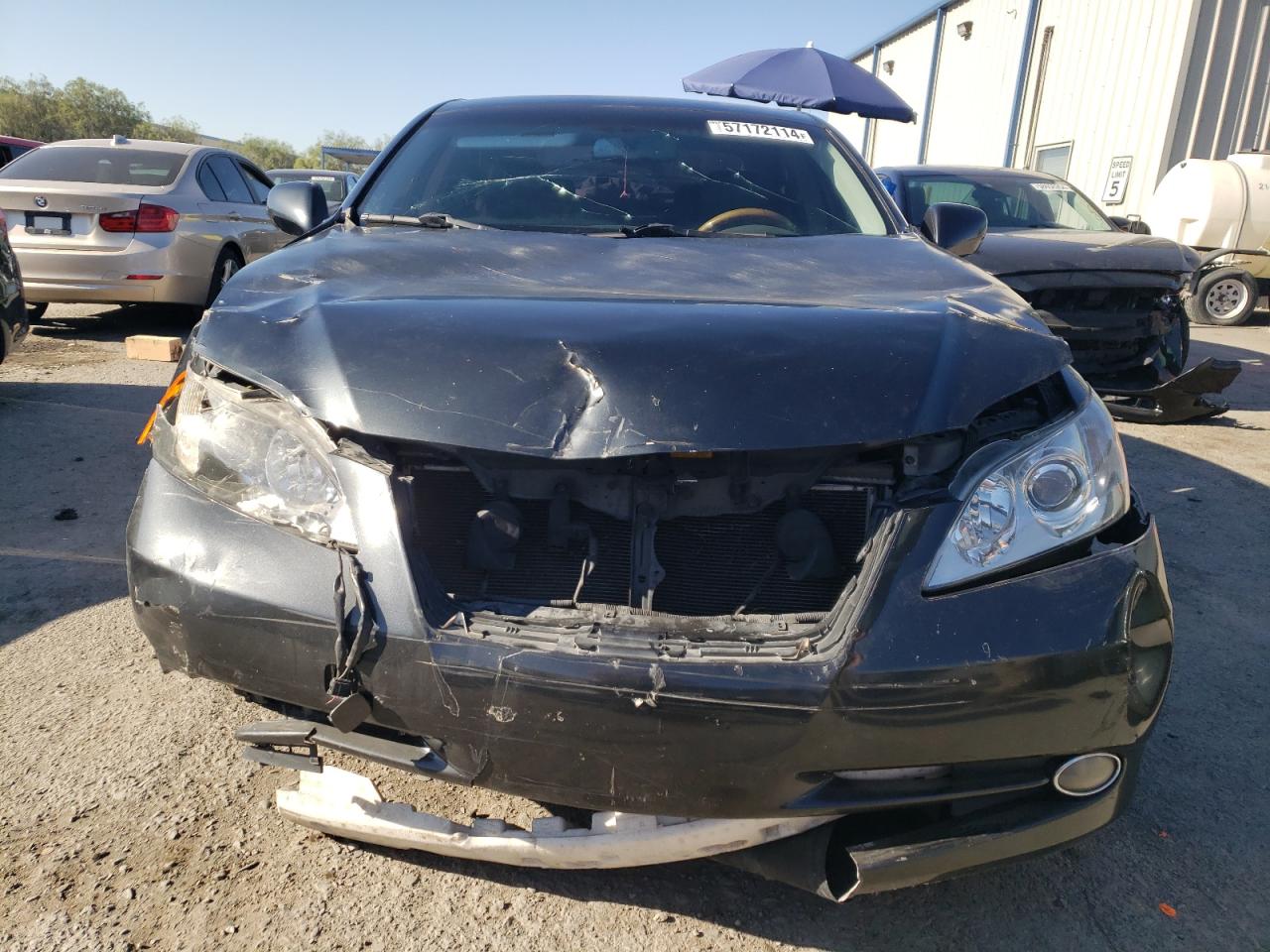 Lot #3024859404 2007 LEXUS ES 350