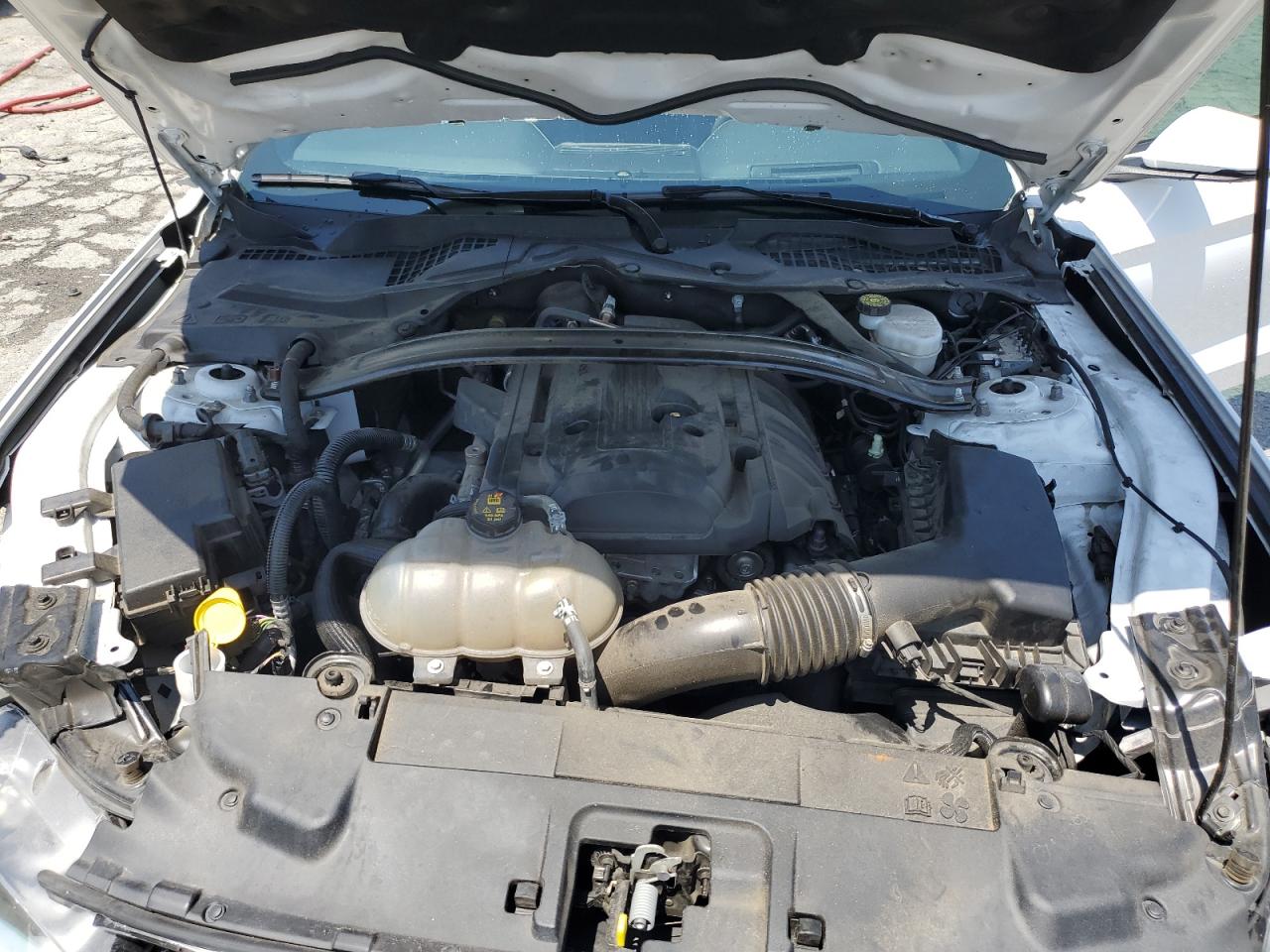 1FATP8UH1K5191124 2019 Ford Mustang