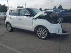 KIA SOUL + photo