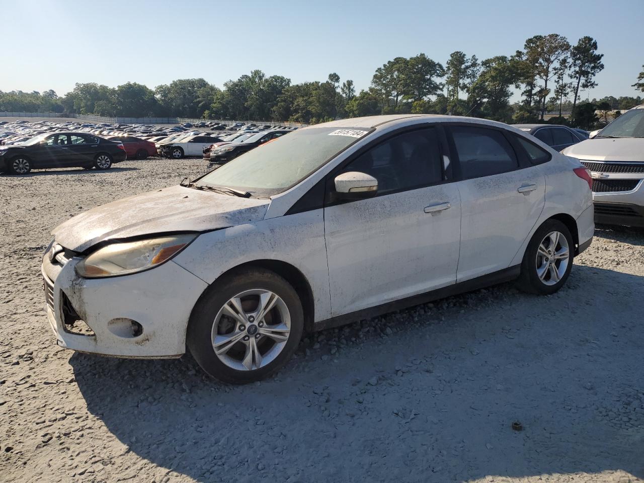 2013 Ford Focus Se vin: 1FADP3F29DL174926