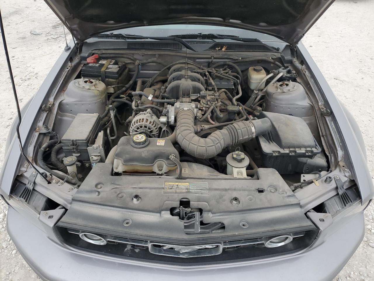 1ZVFT80N675238926 2007 Ford Mustang