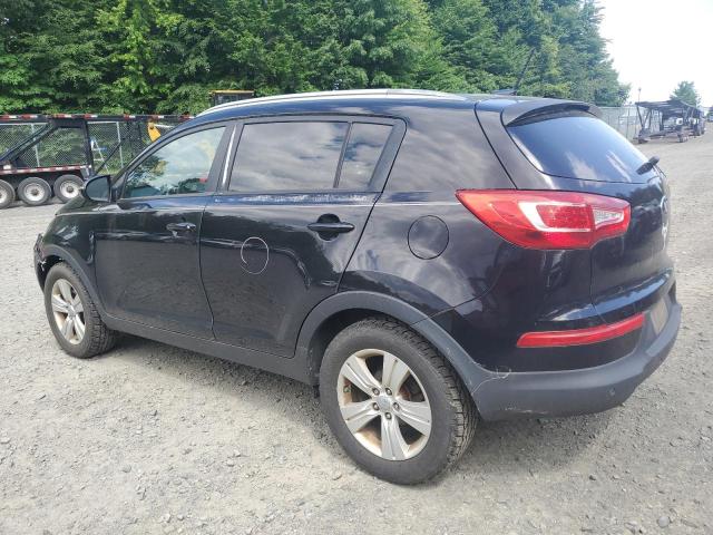 2013 Kia Sportage Base VIN: KNDPB3A27D7459887 Lot: 57570324