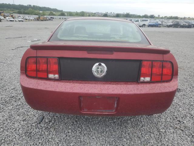 1ZVFT80N175294305 2007 Ford Mustang