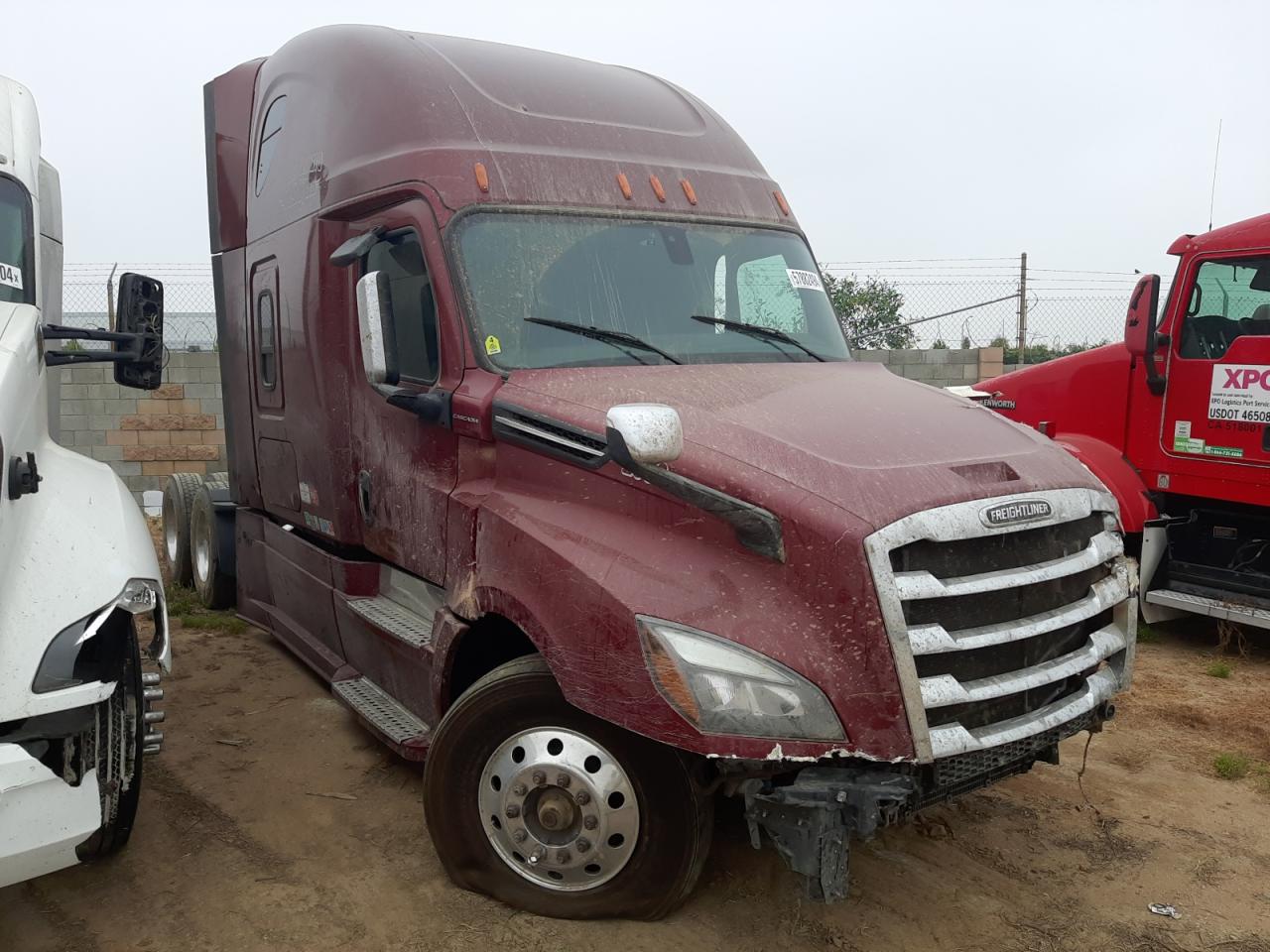 Freightliner Cascadia 2020 126" sleeper cab