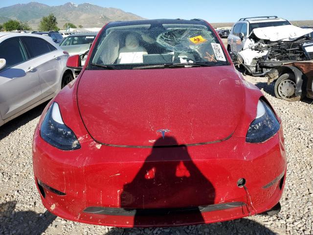 2023 TESLA MODEL Y - 7SAYGDEE6PF877777