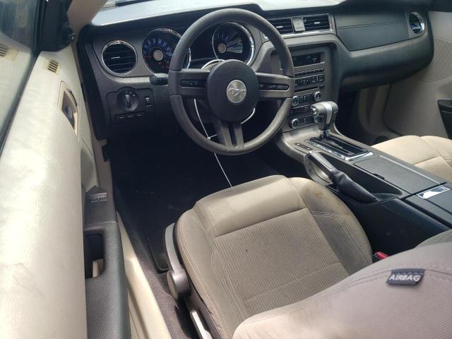 2011 Ford Mustang VIN: 1ZVBP8AMXB5106656 Lot: 61201564