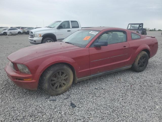 1ZVFT80N175294305 2007 Ford Mustang