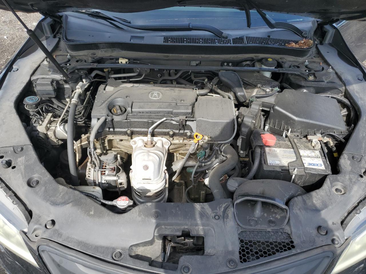 19UUB1F33GA005699 2016 Acura Tlx