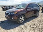 KIA SORENTO photo