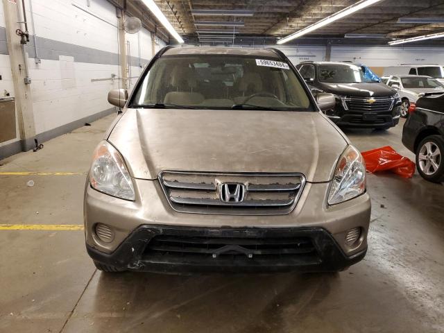 2005 Honda Cr-V Ex VIN: JHLRD788X5C032008 Lot: 59653484