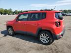 JEEP RENEGADE L photo