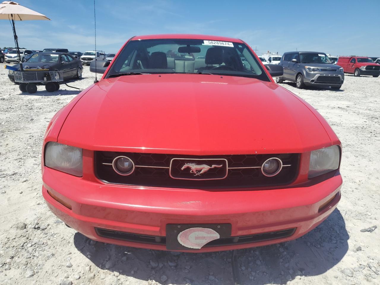 1ZVHT80N485133411 2008 Ford Mustang