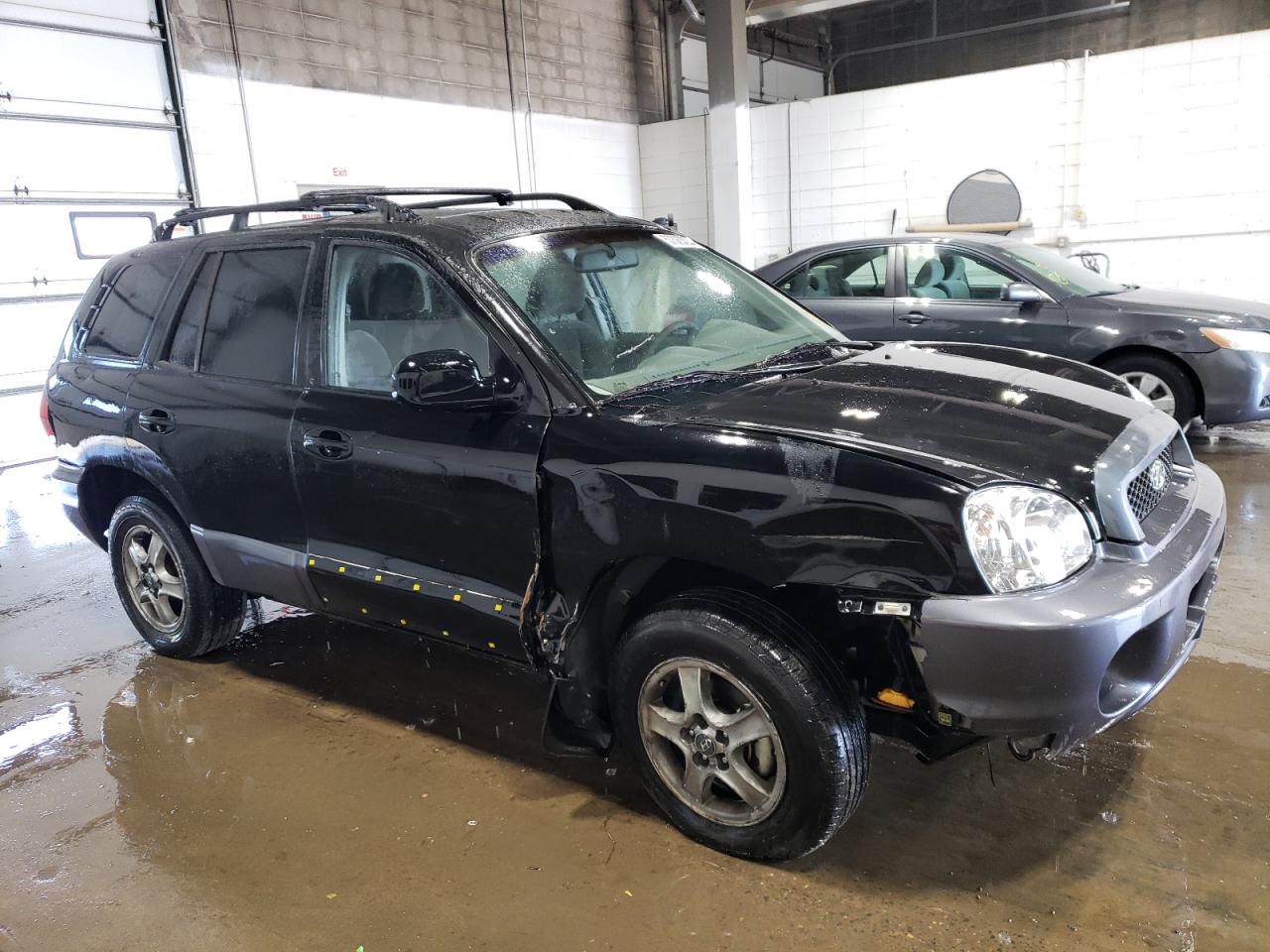 KM8SC13D12U306510 2002 Hyundai Santa Fe Gls