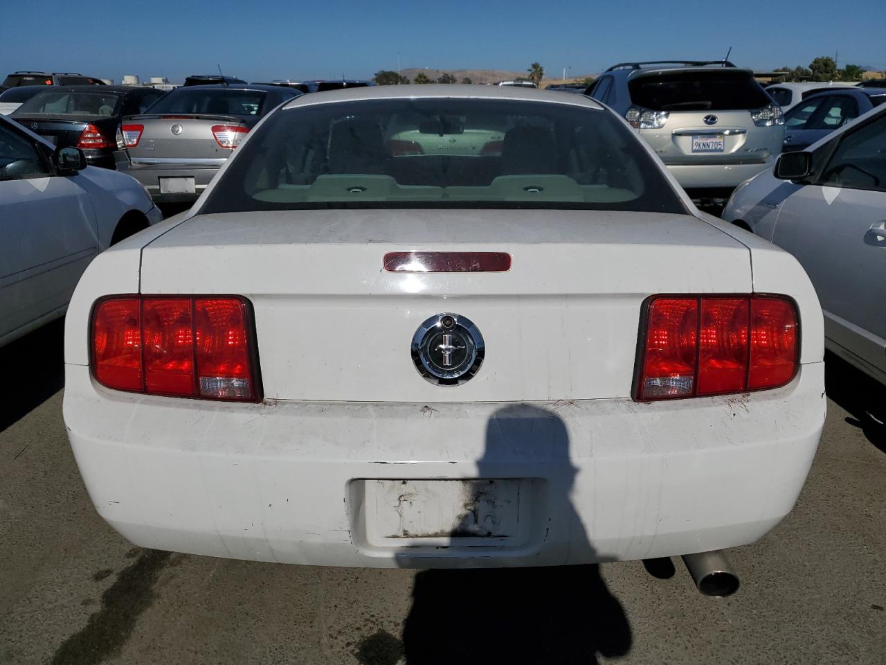 1ZVFT80NX55124702 2005 Ford Mustang