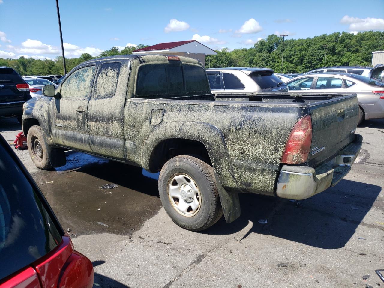 5TEUU42N48Z469917 2008 Toyota Tacoma Access Cab