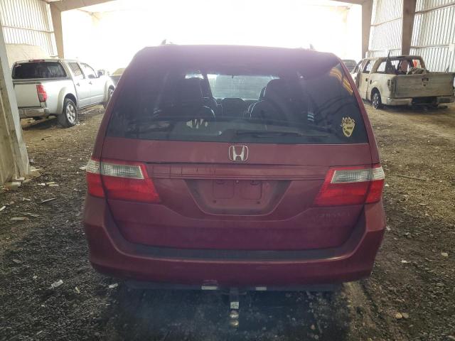 2005 Honda Odyssey Exl VIN: 5FNRL38745B051690 Lot: 59324934