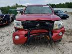 TOYOTA TACOMA DOU photo