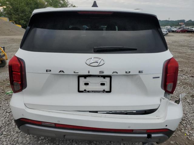 2023 Hyundai Palisade Limited VIN: KM8R5DGE2PU563485 Lot: 59022044