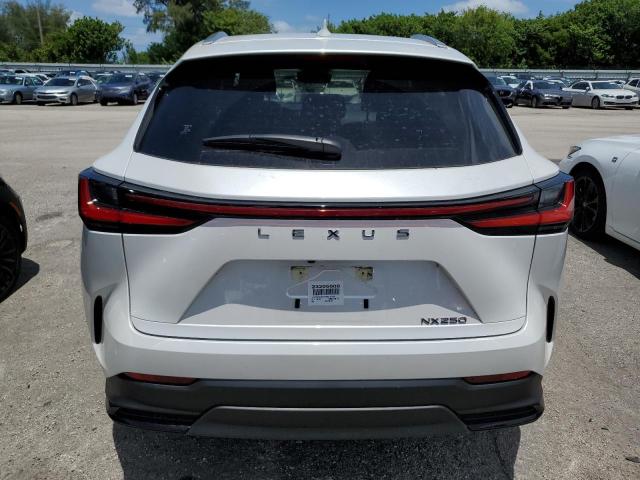 2023 LEXUS NX 250 JTJADCAZ4P5012444