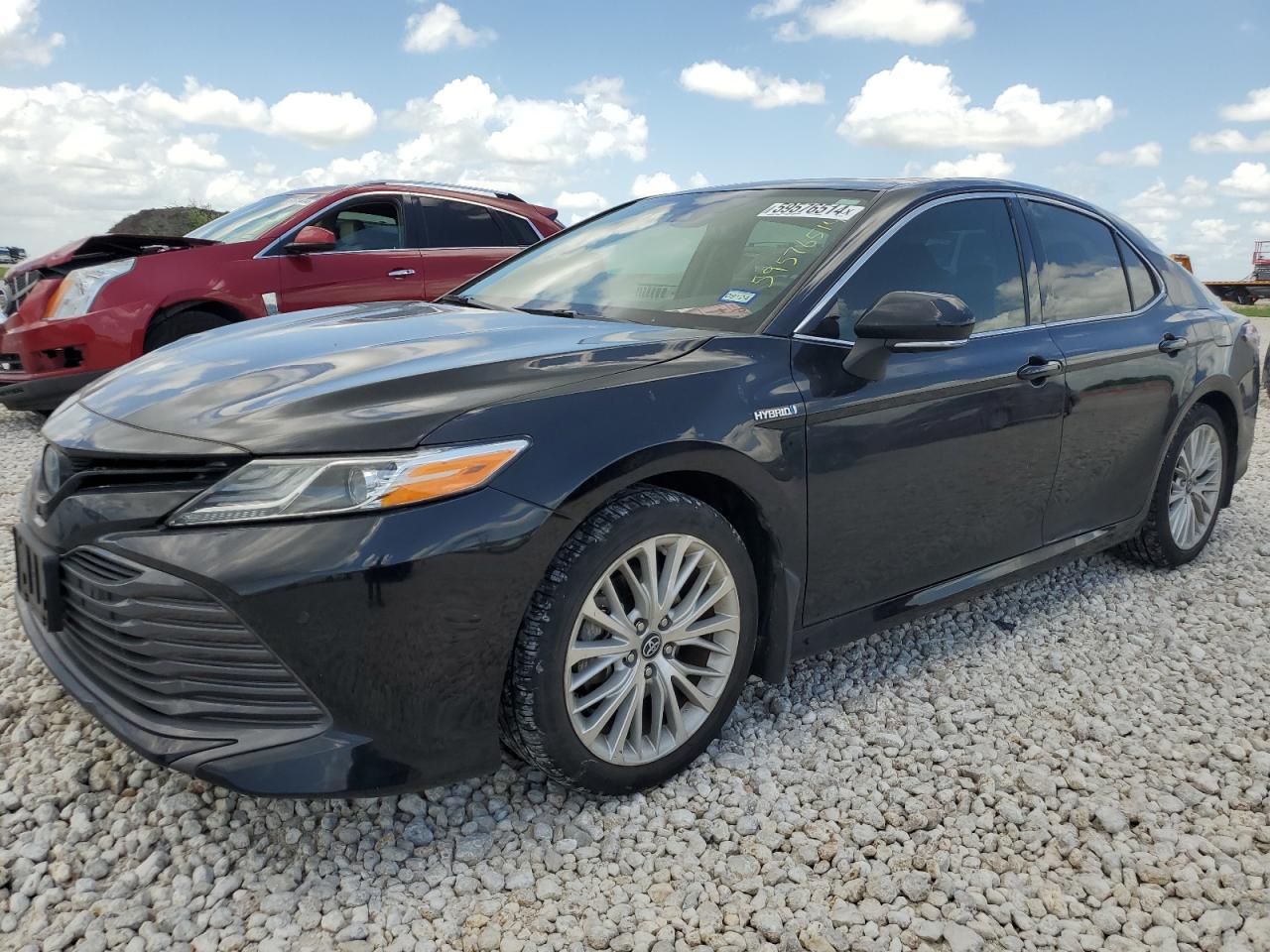 2019 Toyota Camry Hybrid vin: 4T1B21HK7KU519374