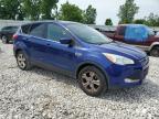 FORD ESCAPE SE photo