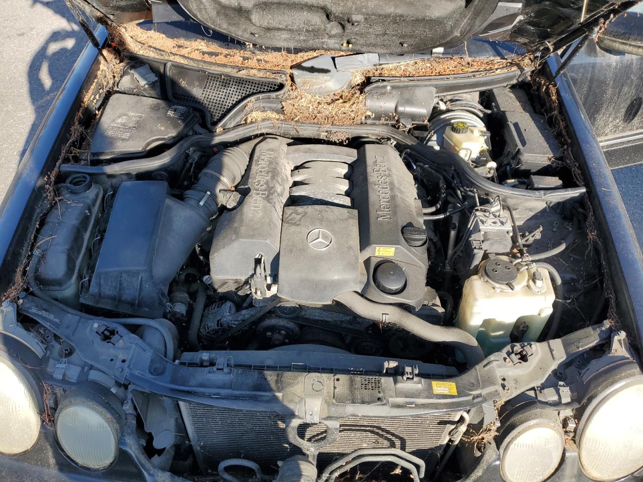 WDBJF82JXYX037579 2000 Mercedes-Benz E 320 4Matic