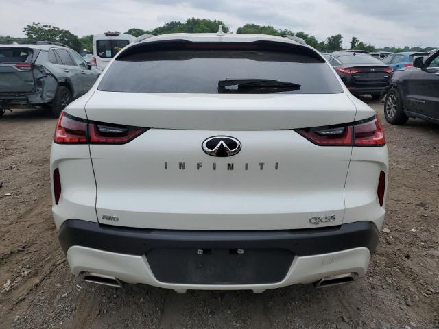 2023 Infiniti Qx55 Luxe VIN: 3PCAJ5JR1PF104438 Lot: 57923984